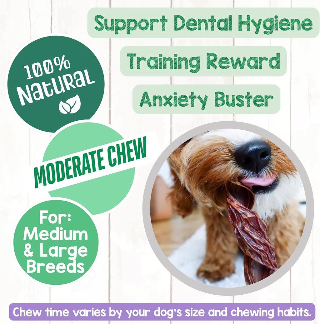 Rawhide free beef jerky springs for dental health