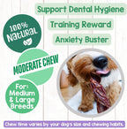 Rawhide free beef jerky springs for dental health