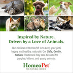 HomeoPet Urinary Tract Support Liquid Supplement for Cats