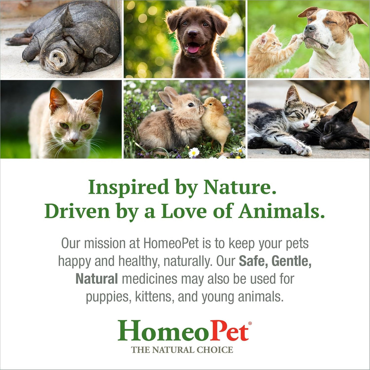 HomeoPet Urinary Tract Support Liquid Supplement for Cats