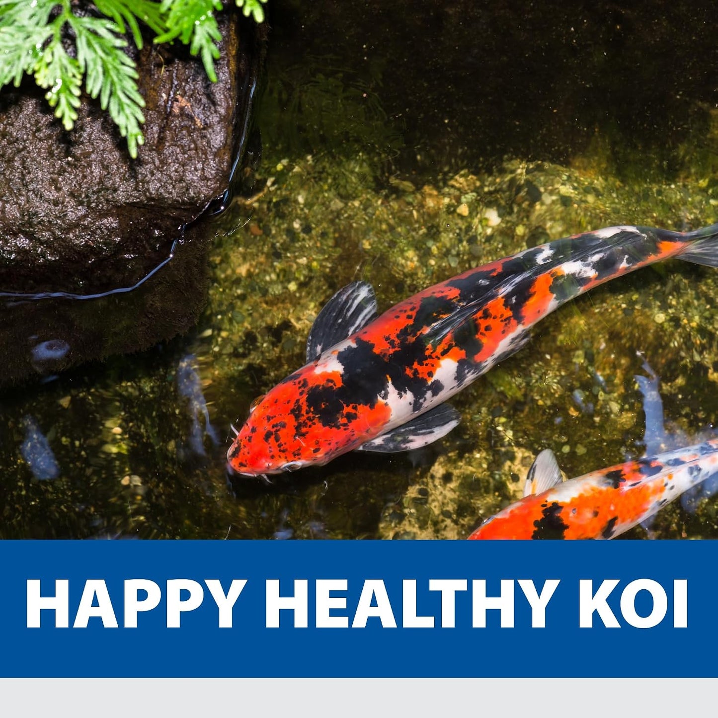 The Pond Guy KoiGrower Automatic Pond Fish Food Dispenser, Solar, Battery & AC Electric Power, Auto Timed Koi Pellet Feeder, 5 Gallon Feed Container - Image 9