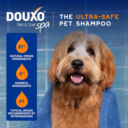 Dog being washed with Douxo Spa 2 In 1 conditioning dog shampoo