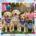 Various styles of Abbylike patriotic dog accessories displayed