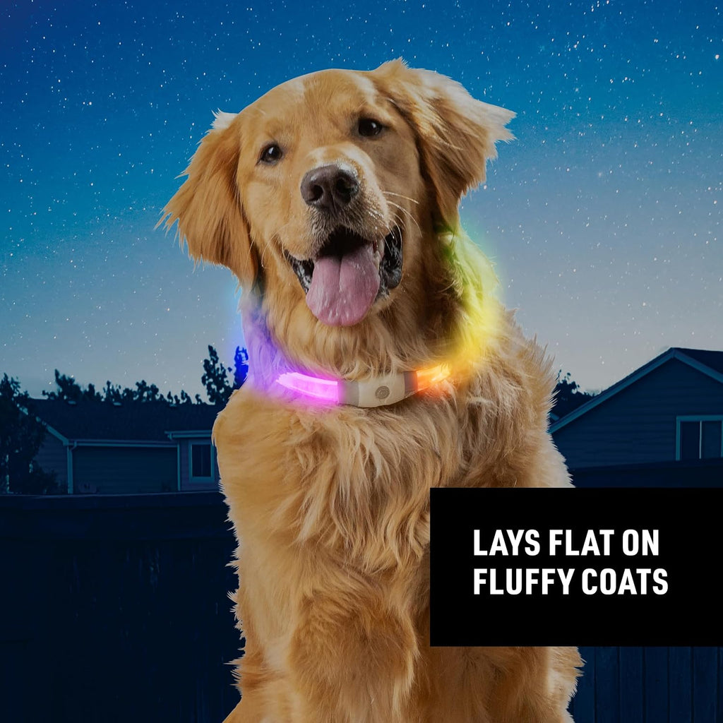 Nite Ize NiteHowl Max glowing collar showing flat sitting design ideal for thick double coated dogs