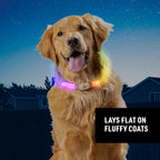 Nite Ize NiteHowl Max glowing collar showing flat sitting design ideal for thick double coated dogs