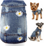 Side profile of a small pug wearing the embroidered flower denim vest during an outdoor walk.
