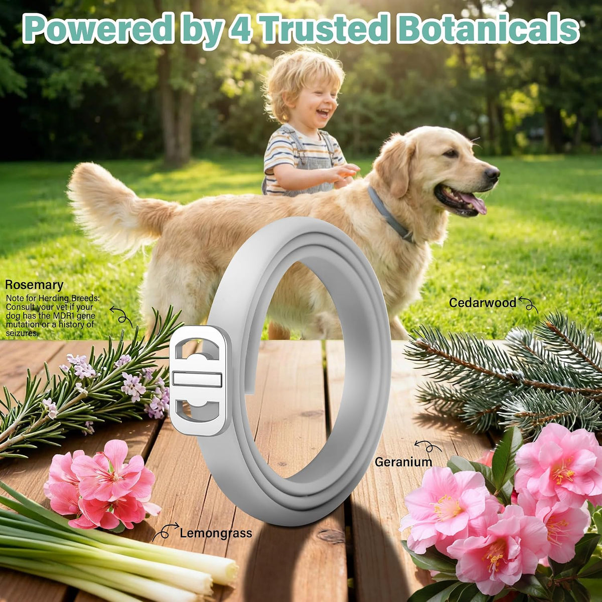 Six pack of waterproof dog flea and tick collars