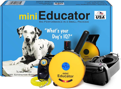 Educator ET-300 Mini E-Collar remote and receiver front view