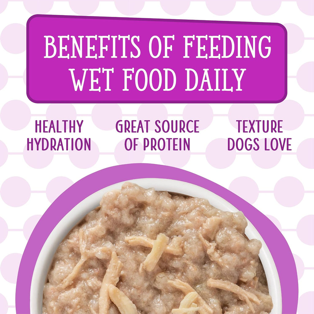 Healthy dog eating Weruva wet food from a bowl