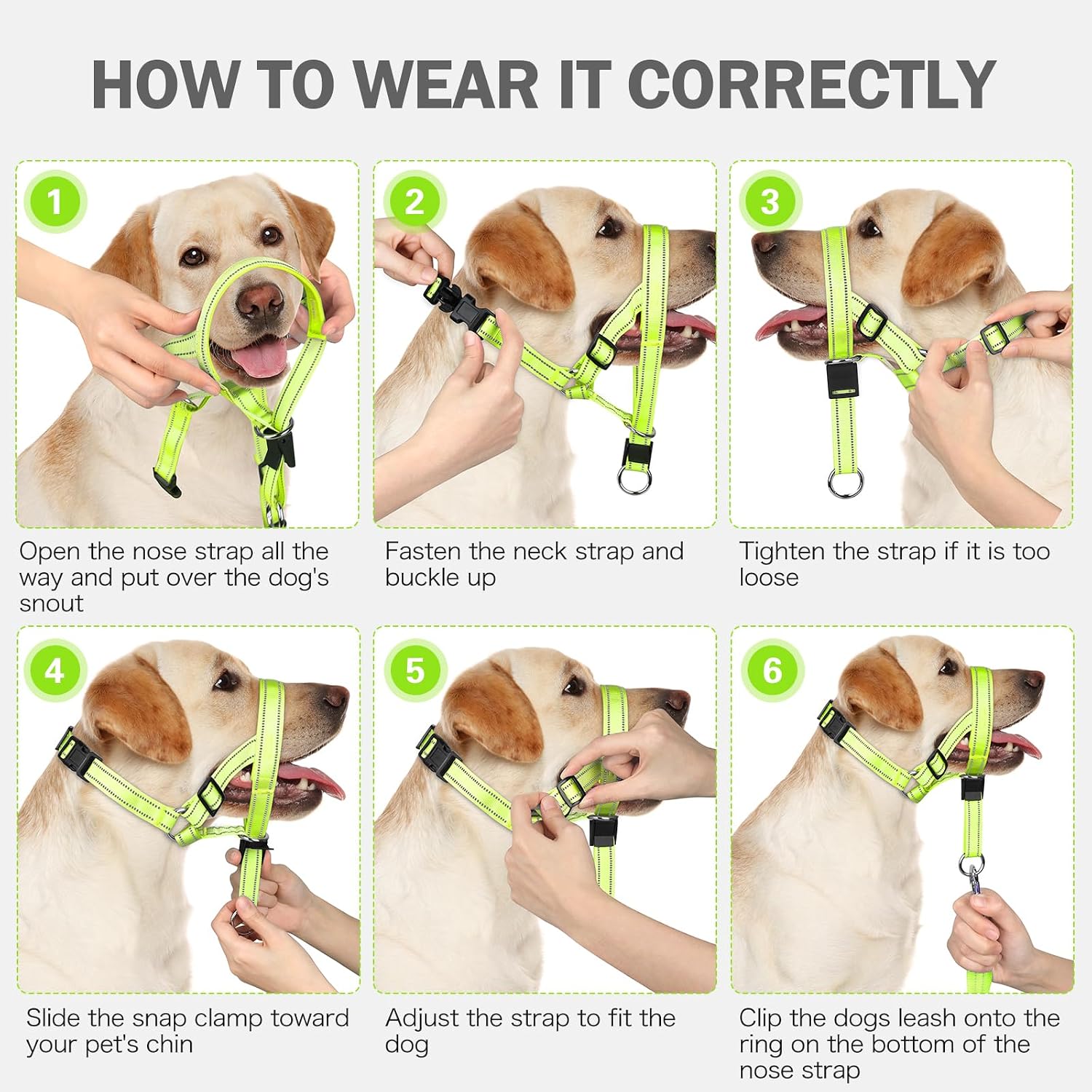 No pull head halter collar showing reflective safety strips for night walks
