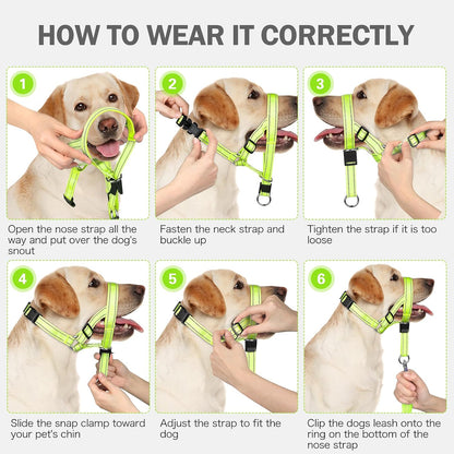No pull head halter collar showing reflective safety strips for night walks