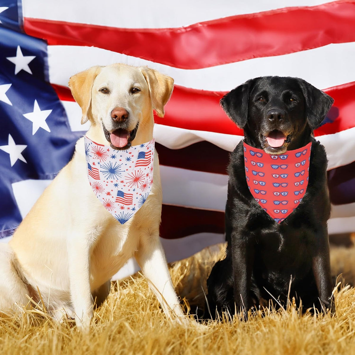 Close up of Adoggygo American flag pet scarf patterns