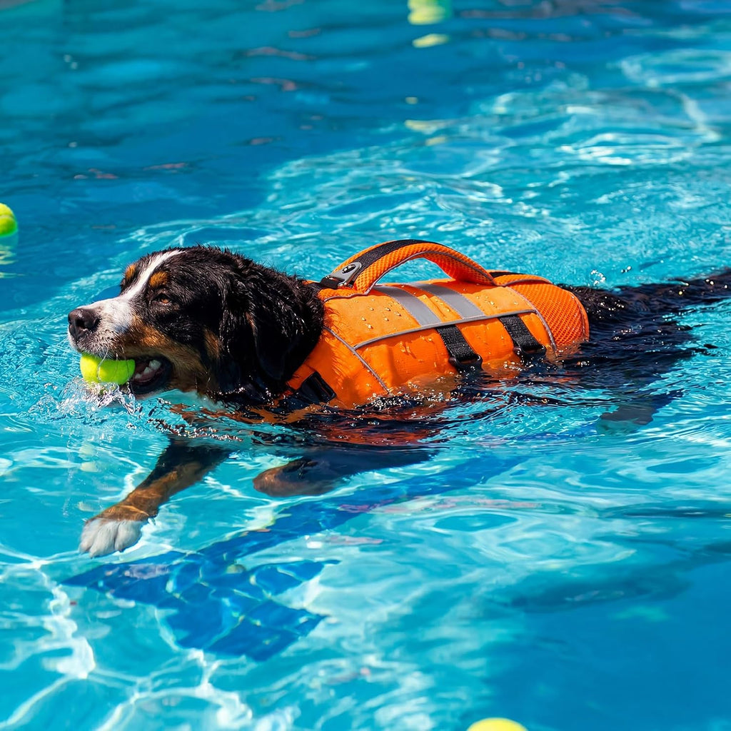 Kuoser dog swim vest large size neck flotation padding detail