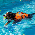 Kuoser dog swim vest large size neck flotation padding detail