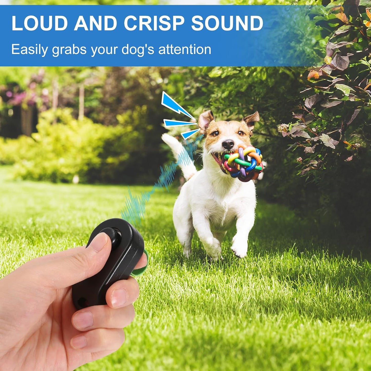 Close up view of BARKIE dog button clicker with green finger ring