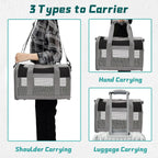 Foldable small pet carrier shown in folded storage position