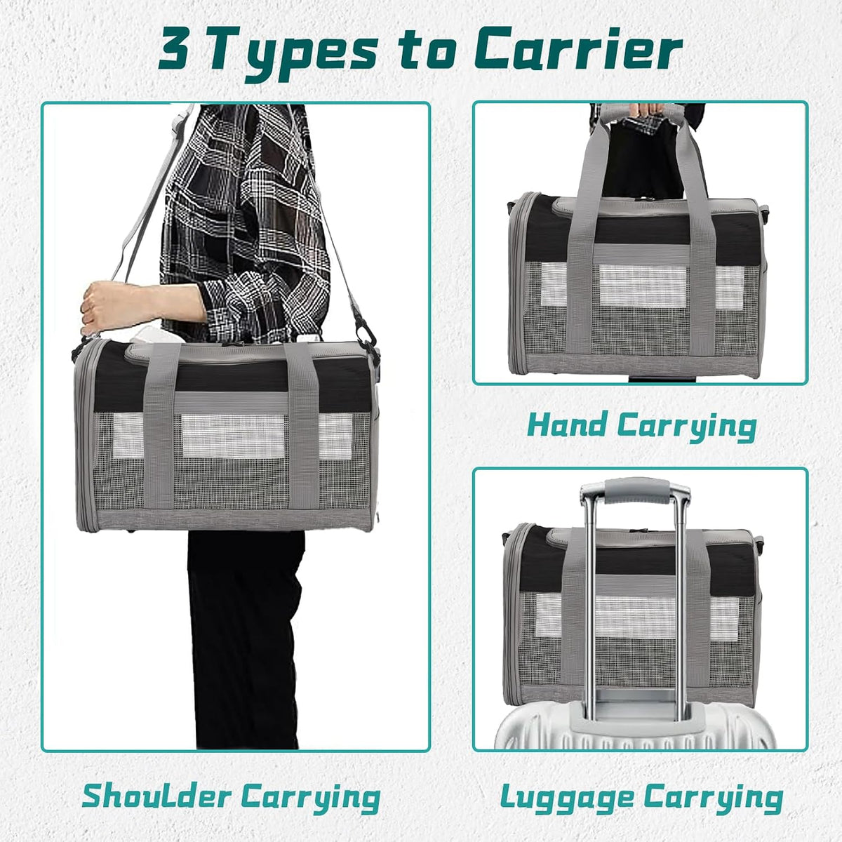 Foldable small pet carrier shown in folded storage position