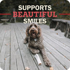 Packaging of Redbarn long lasting dog chews
