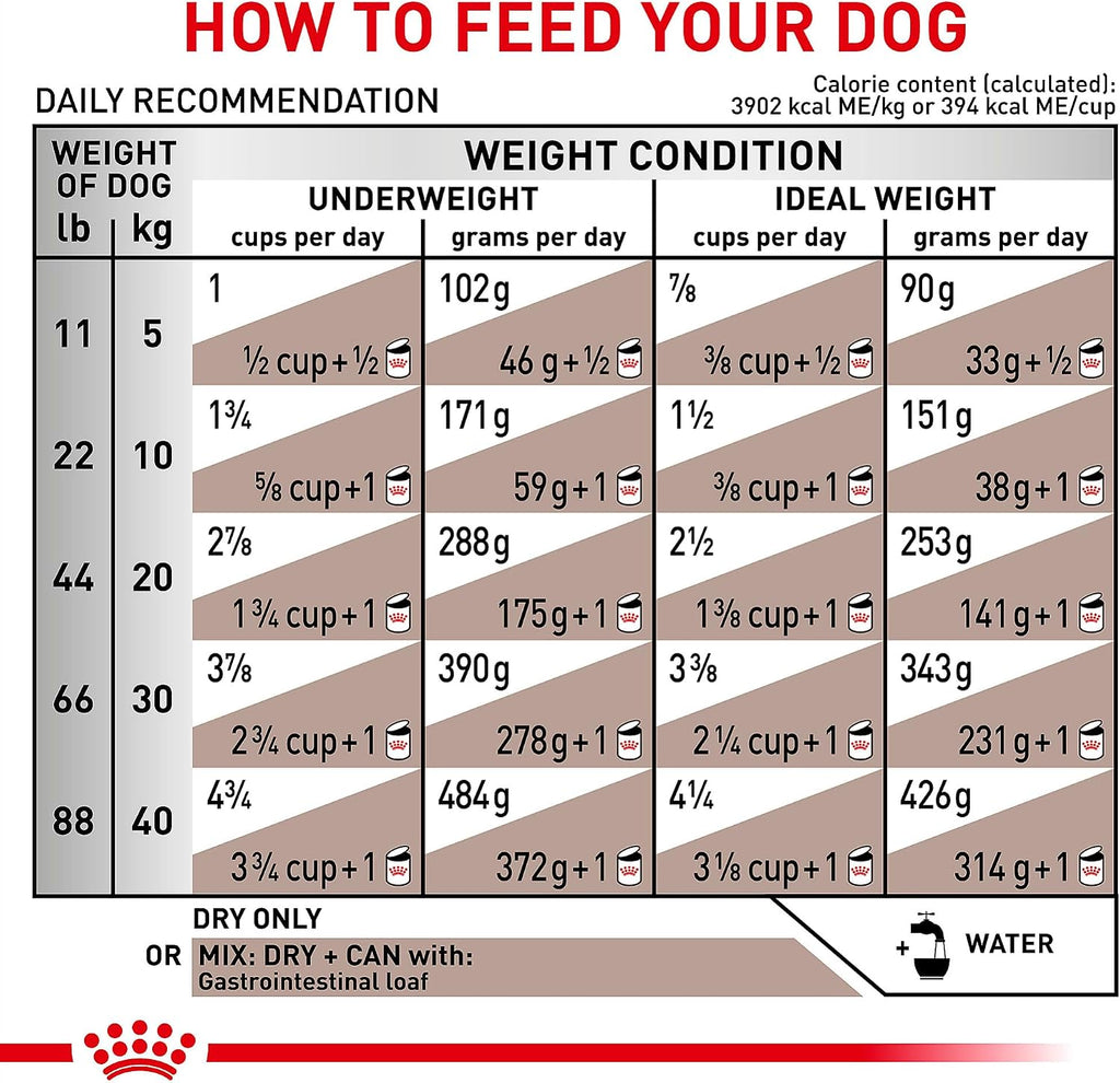 Royal Canin Veterinary Diet Canine Gastrointestinal Adult Dry Dog Food, 22 lb Bag - Image 9