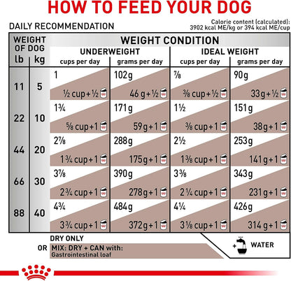Royal Canin Veterinary Diet Canine Gastrointestinal Adult Dry Dog Food, 22 lb Bag - Image 9