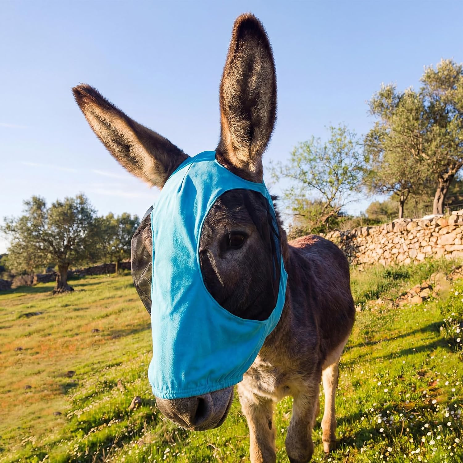 Mini Donkey Fly Mask with Ears Protection, Stretchy Mule Mask with Big Mesh Eye Covers, Soft on Skin, Comfortable Breathable Protection from Insects and Bugs - Image 10