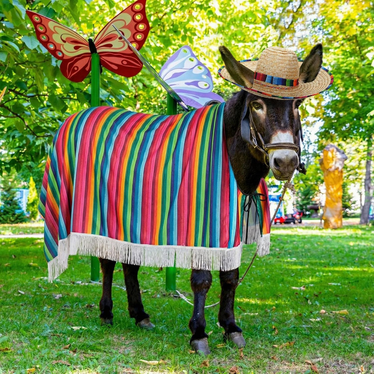 Front view of large animal dressed in Lyrow Mexican party outfit