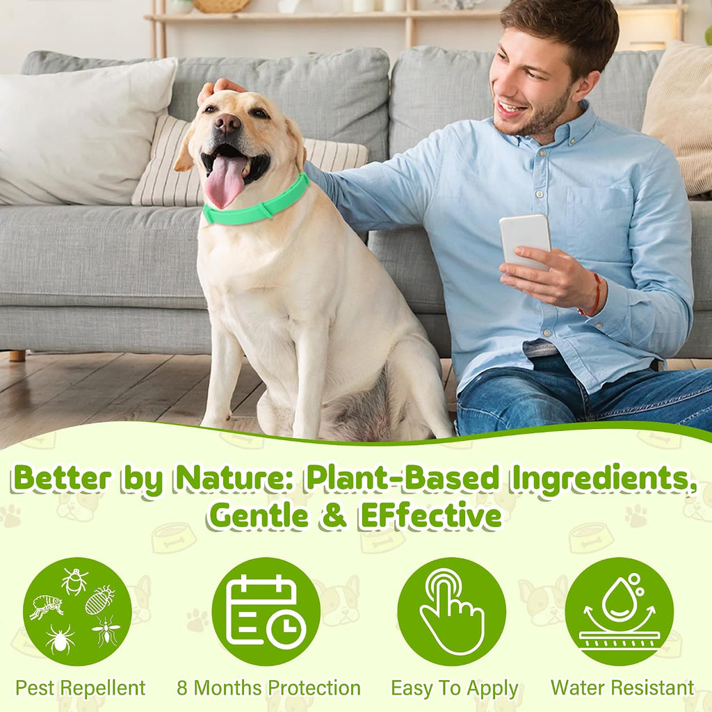 Close up of plant-based ingredients on Monipgu collar