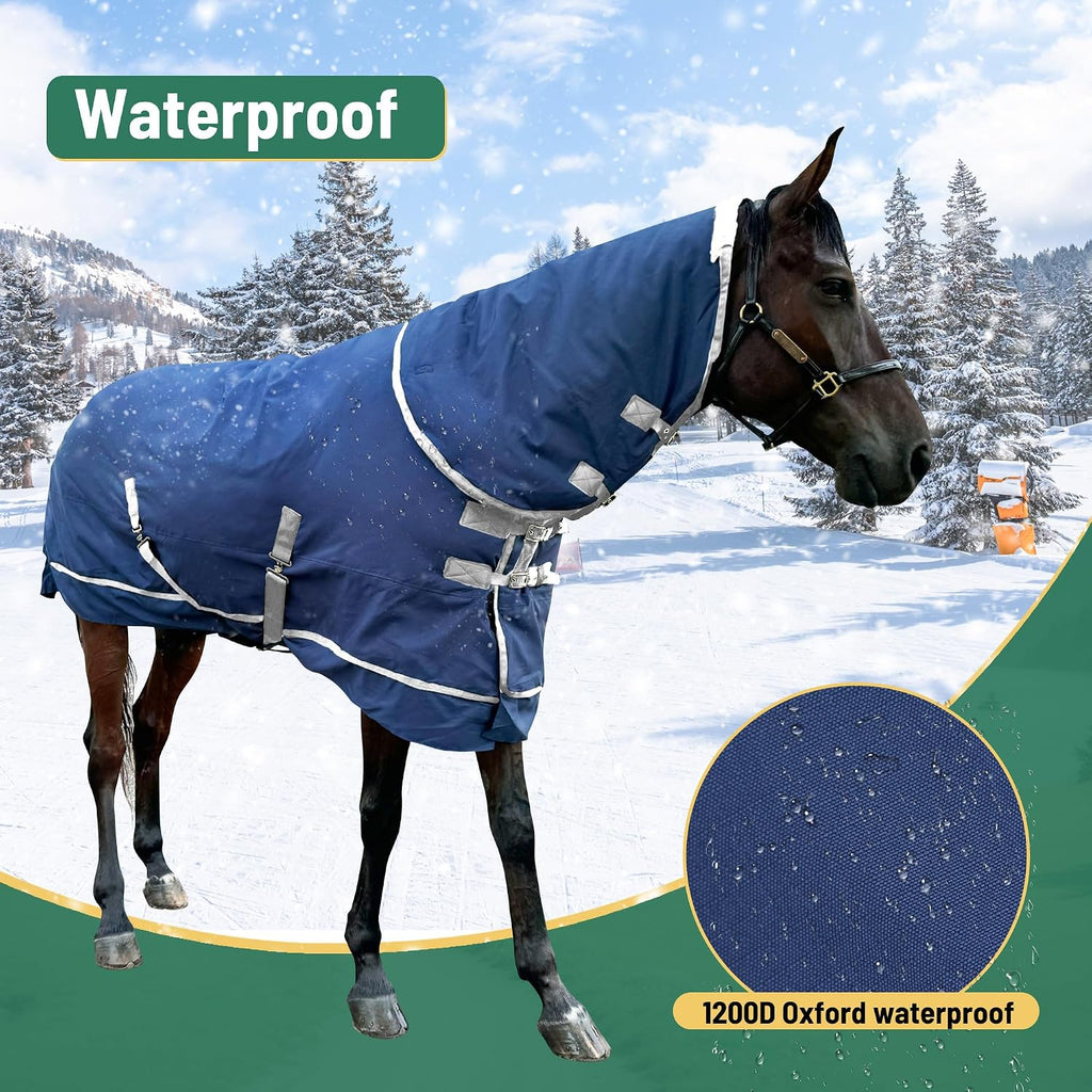 Niutrip horse winter blanket back view