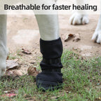 Etial breathable pet footwear packaging