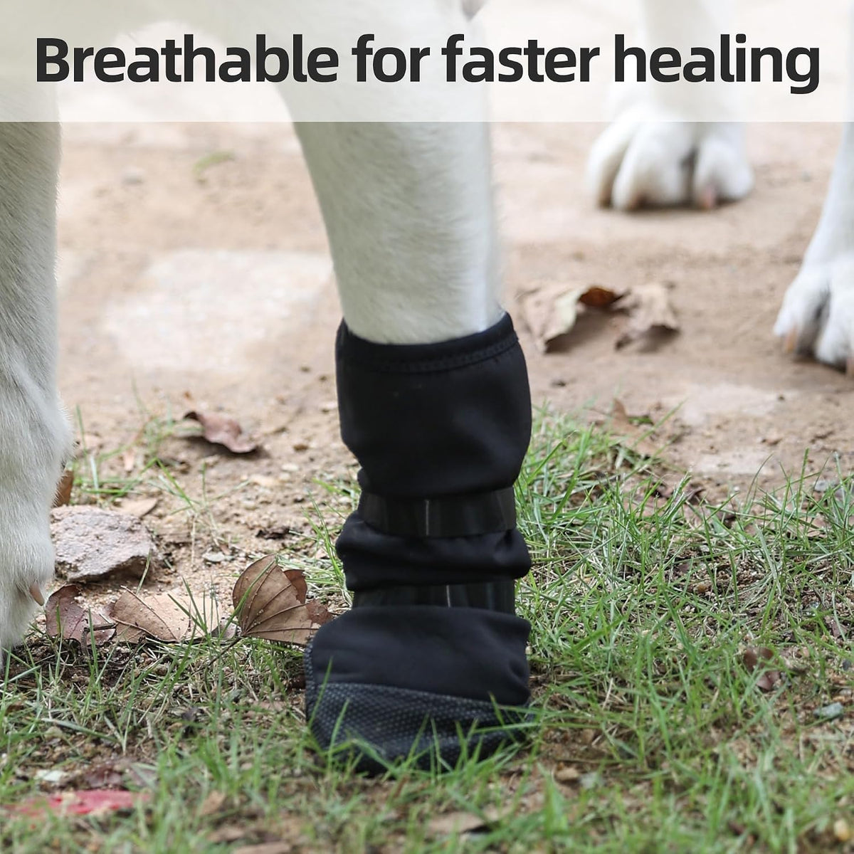 Etial breathable pet footwear packaging