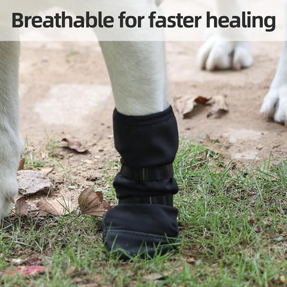 Etial breathable pet footwear packaging