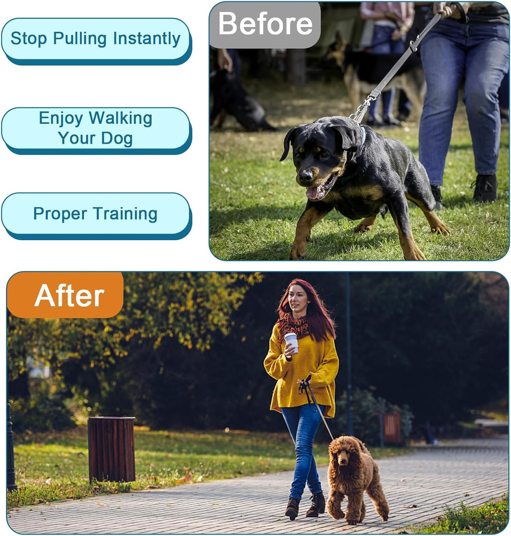 Woskar pet training accessories showing authentic imported vinyl caps packaging for dog pinch collars