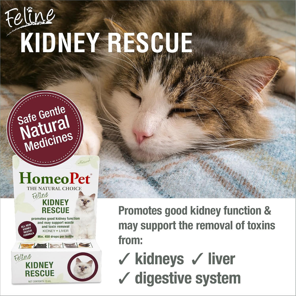 HomeoPet Feline Kidney Rescue natural renal drops packaging box side panel