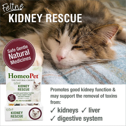 HomeoPet Feline Kidney Rescue natural renal drops packaging box side panel