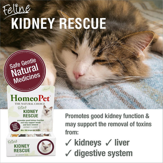 HomeoPet Feline Kidney Rescue natural renal drops packaging box side panel