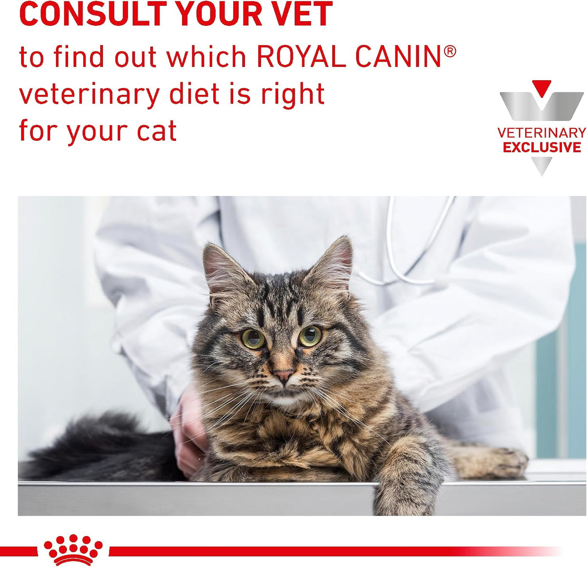 Royal Canin veterinary exclusive cat treats ingredient information