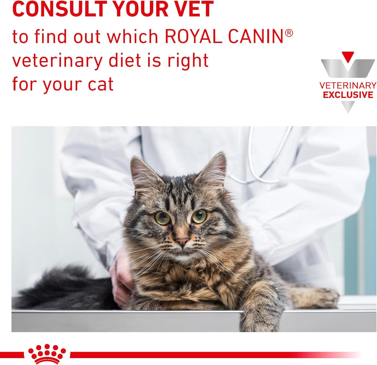 Royal Canin Veterinary Diet Feline Satiety Support Weight Management Adult Dry Cat Food, 12 oz. Bag Bag - Image 11
