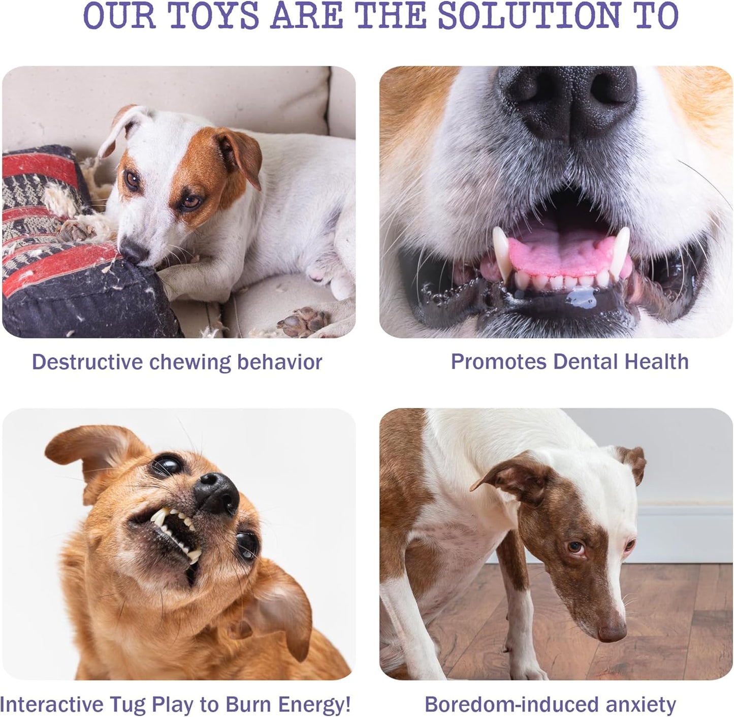 Fuzzwoof squeaky plush dog toy for dental health