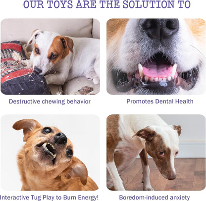 Fuzzwoof squeaky plush dog toy for dental health