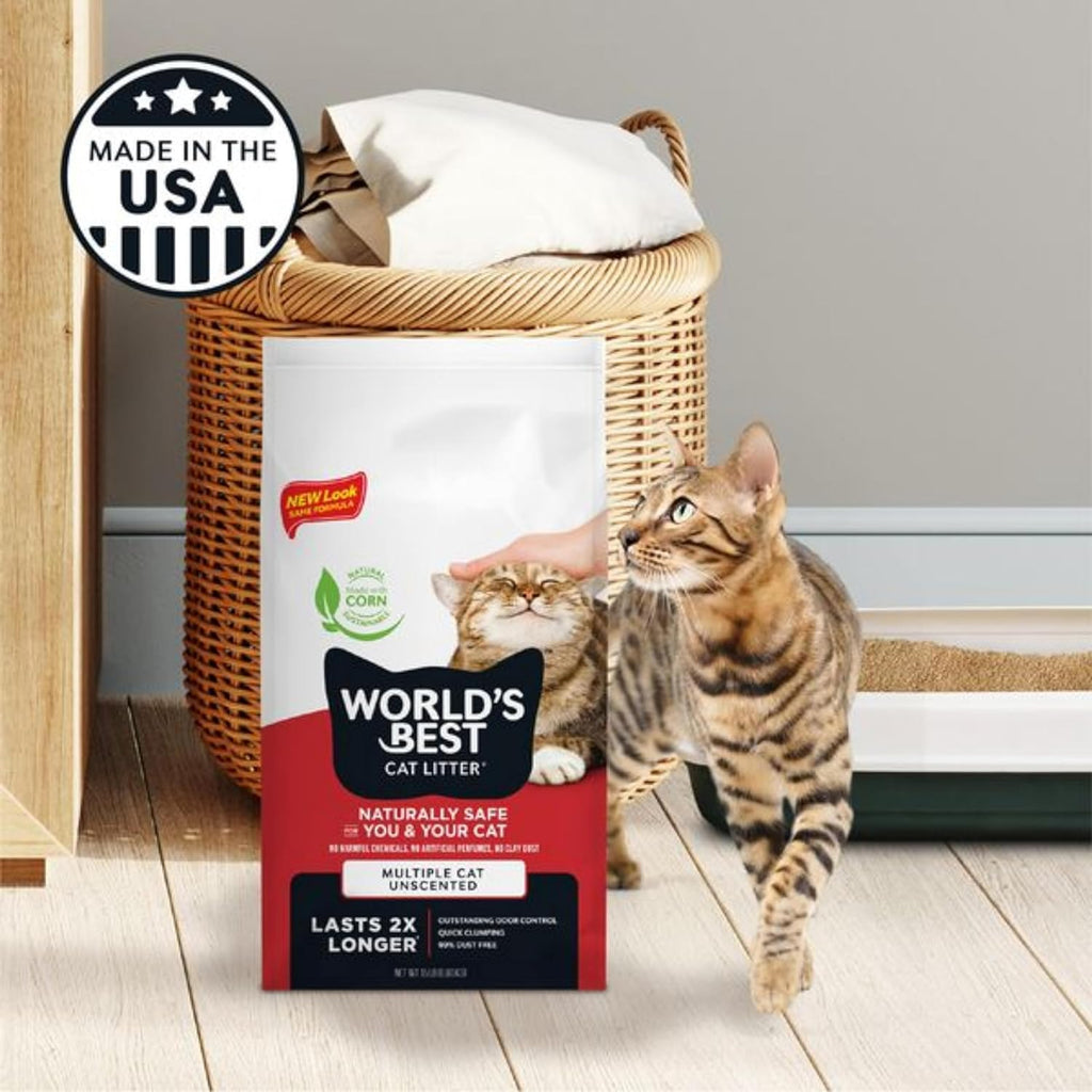Multiple cats near a clean unscented litter box setup