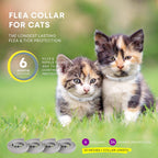 ProElobara 4 pack cat flea treatment collars
