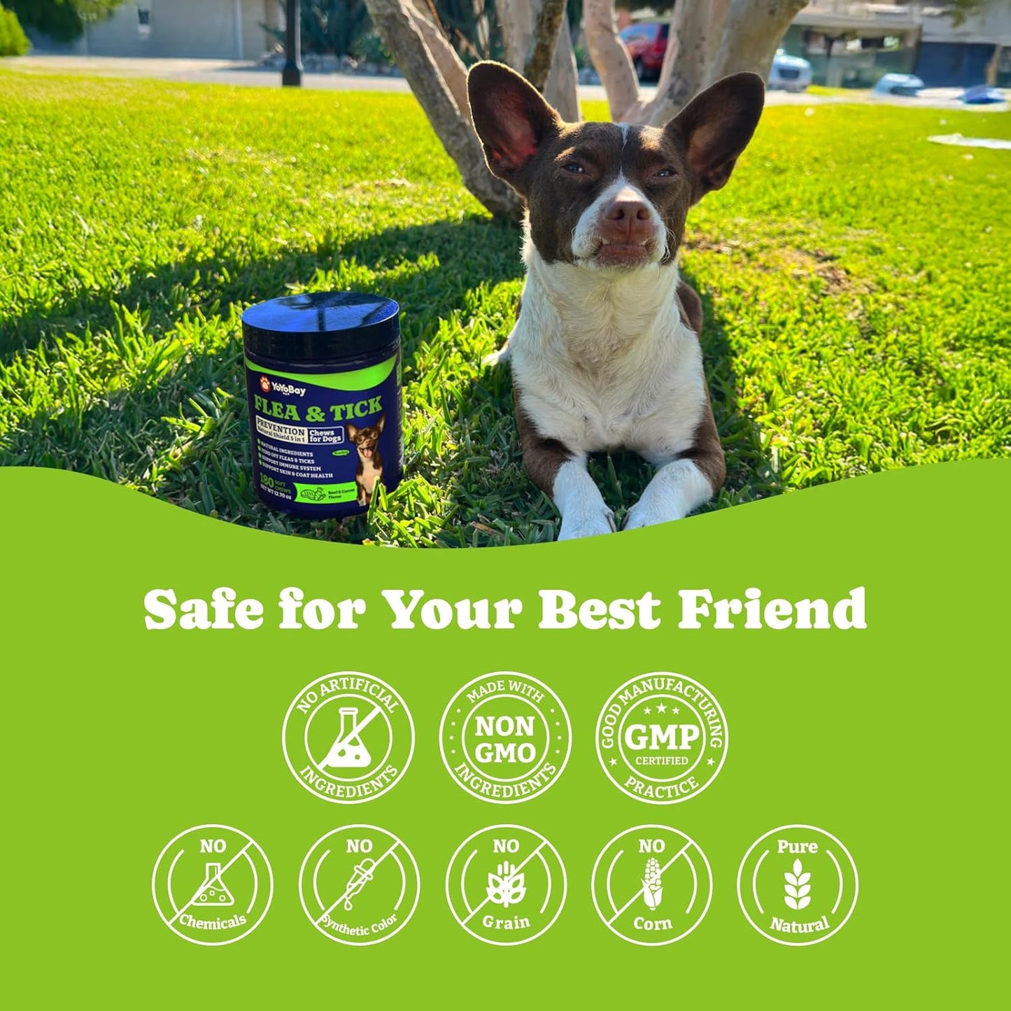 YoYoBay imported USA authentic pet care packaging details back label