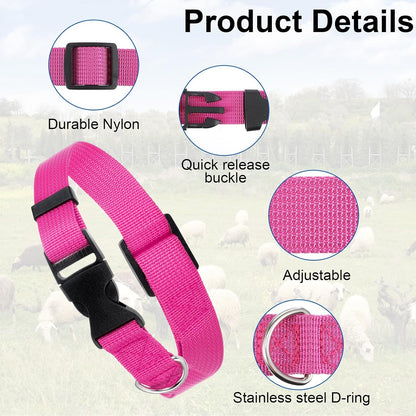 Four color assortment of Gindoor goat collar belts with loud bronze anti lost bells