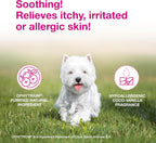 Douxo S3 Calm leave on foam formula for itchy and irritated pet skin