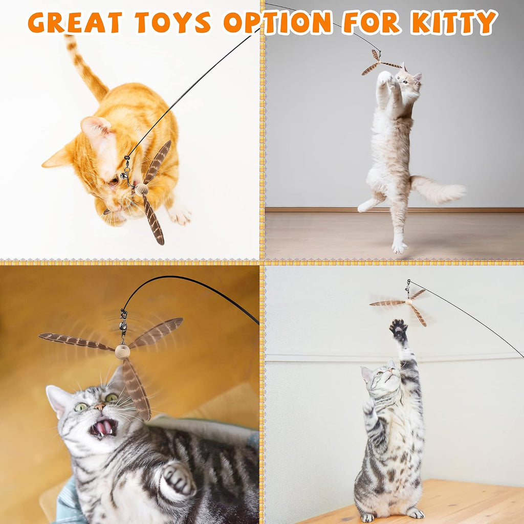 Replacement natural bird feathers for interactive pet play sessions