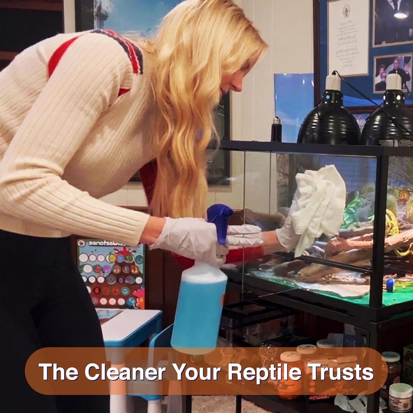 Chlorhexidine concentrate refill for reptile terrarium maintenance