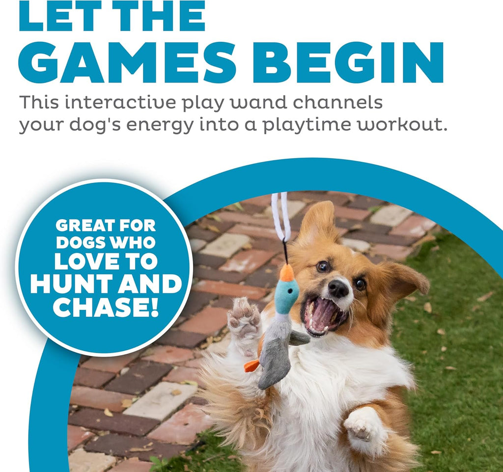 Outward Hound interactive dog wand toy with attached squeaky plush duck teaser.