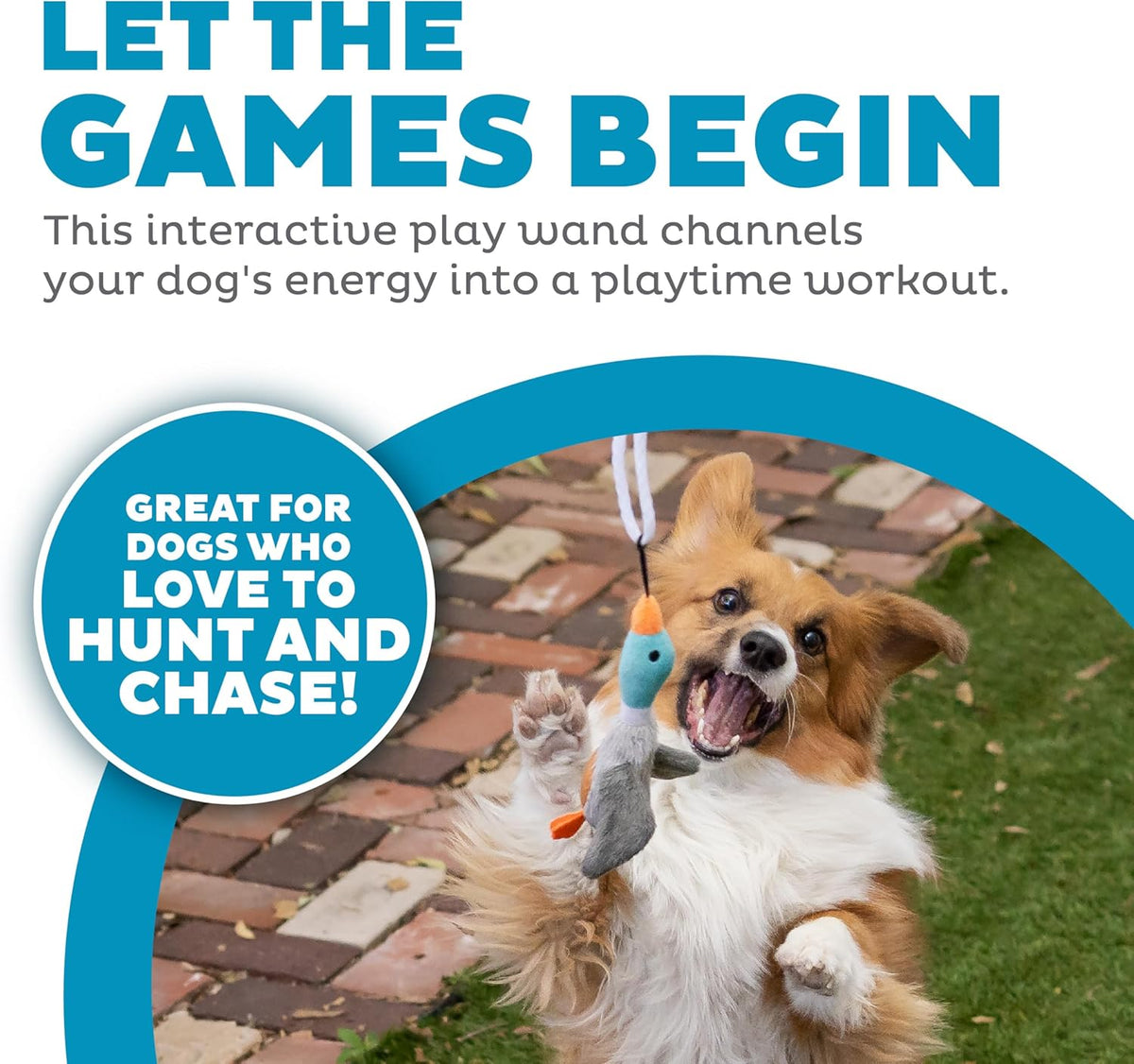 Outward Hound interactive dog wand toy with attached squeaky plush duck teaser.