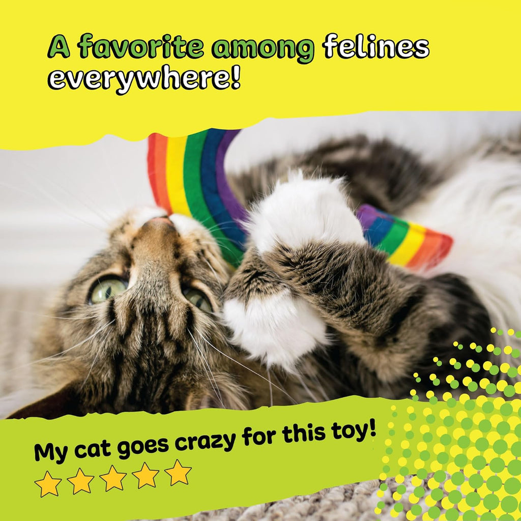 Cat engaging in bunny kicking behavior with the yeowww rainbow toy