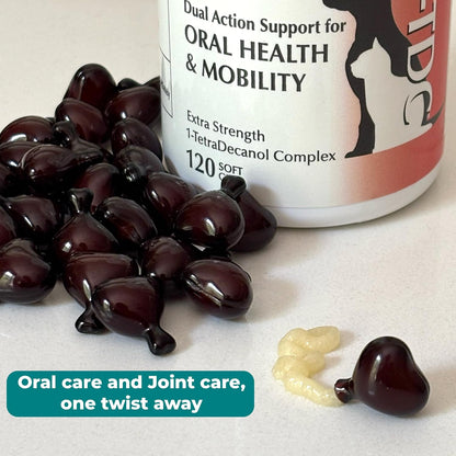 1-TDC worksSOwell dual action mobility and muscle recovery supplement for cats